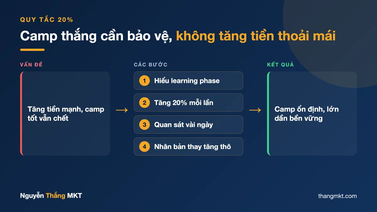 Infographic quy tắc 20% tăng ngân sách Facebook Ads: hành trình camp thắng từ vấn đề sụp đổ đến kết quả ổn định bền vững